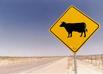 像素风末日生存游戏《洋流朋克》1月12日Steam发售 定价28元